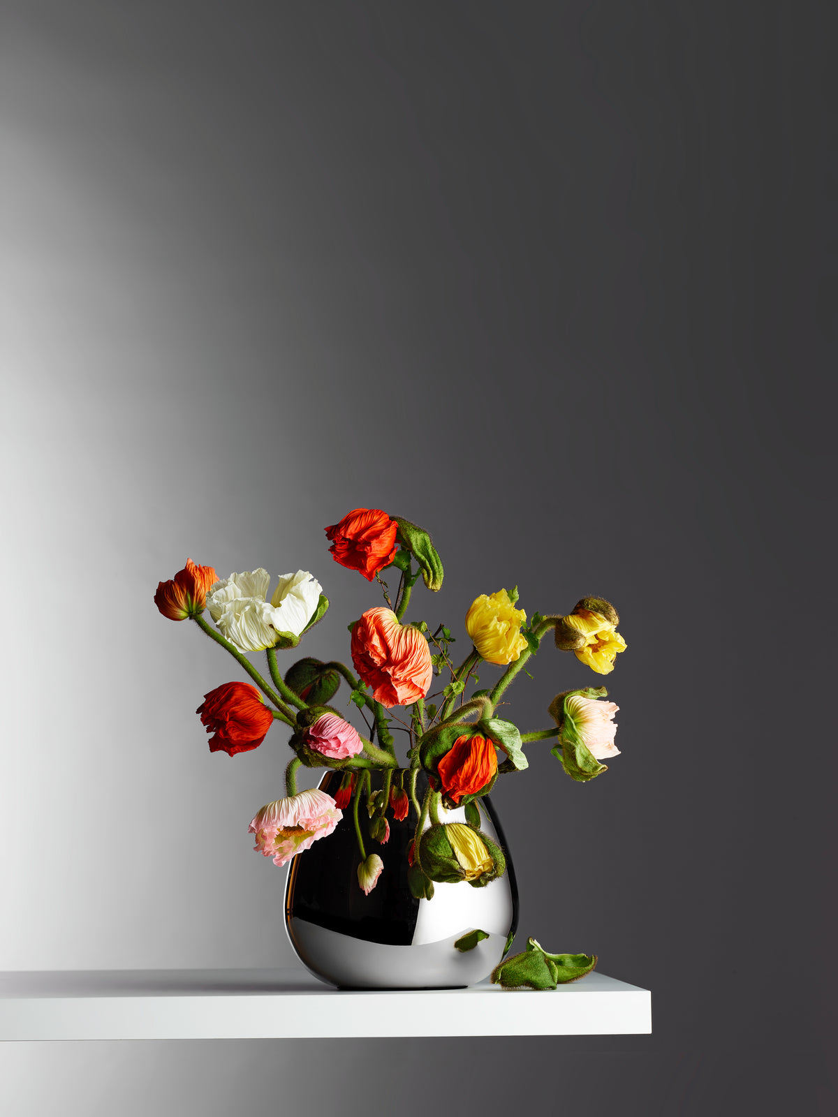 ANAIS Vase von PHILIPPI