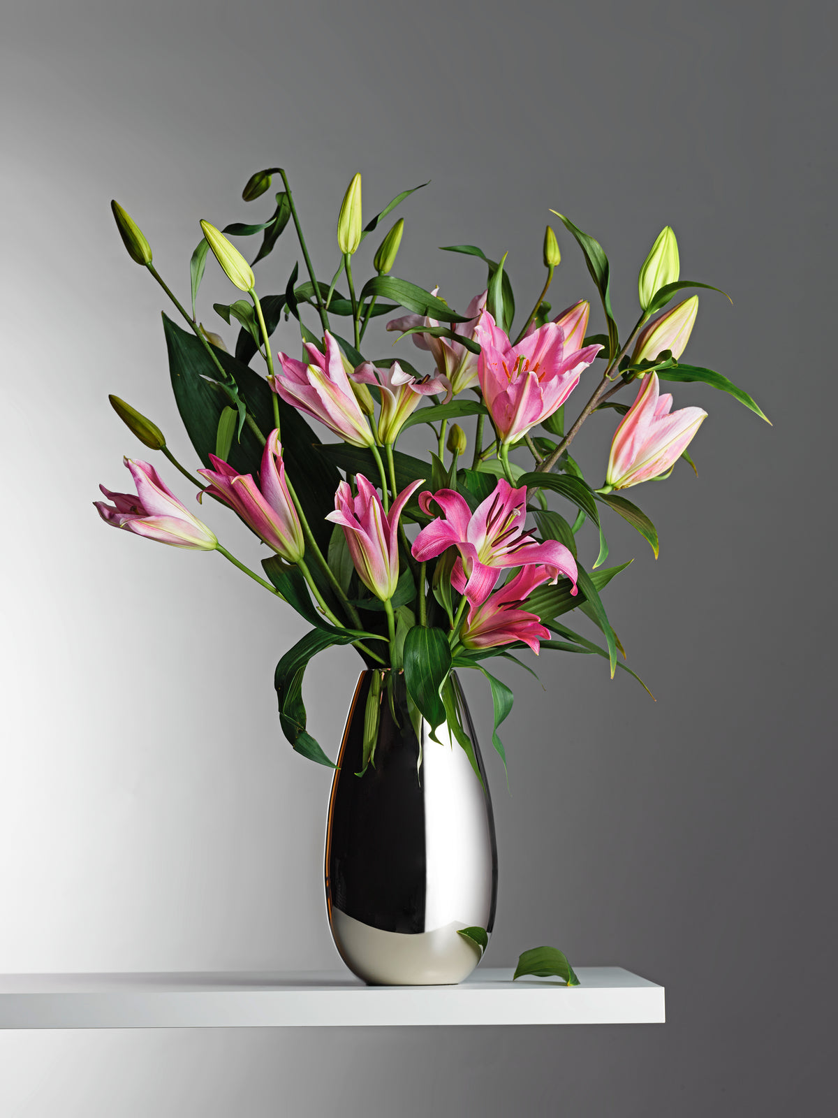 ANAIS Vase von PHILIPPI