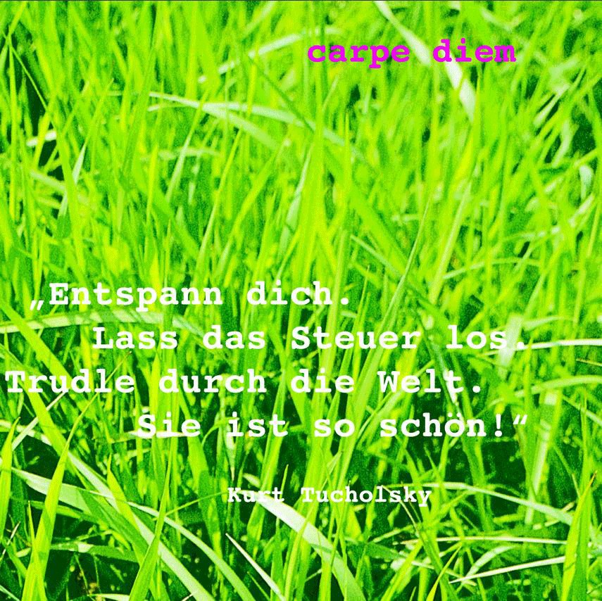 ENTSPANN DICH... Tagebuch Notizbuch Carpe Diem