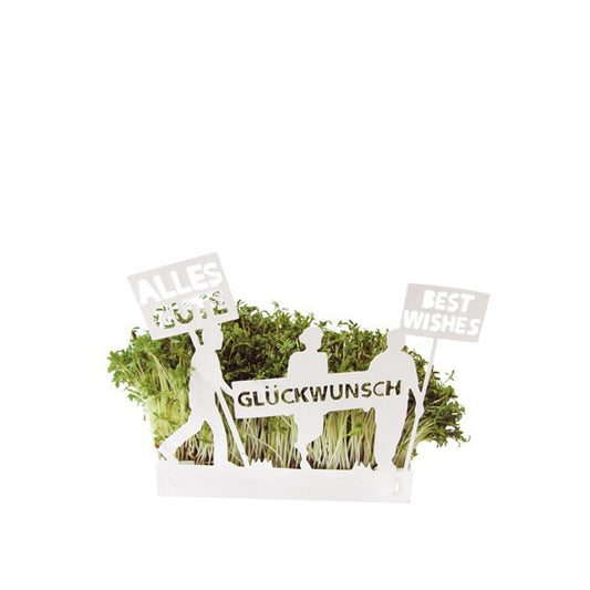 Kressegarten Karte GLÜCKWUNSCH inkl. Kressesamen