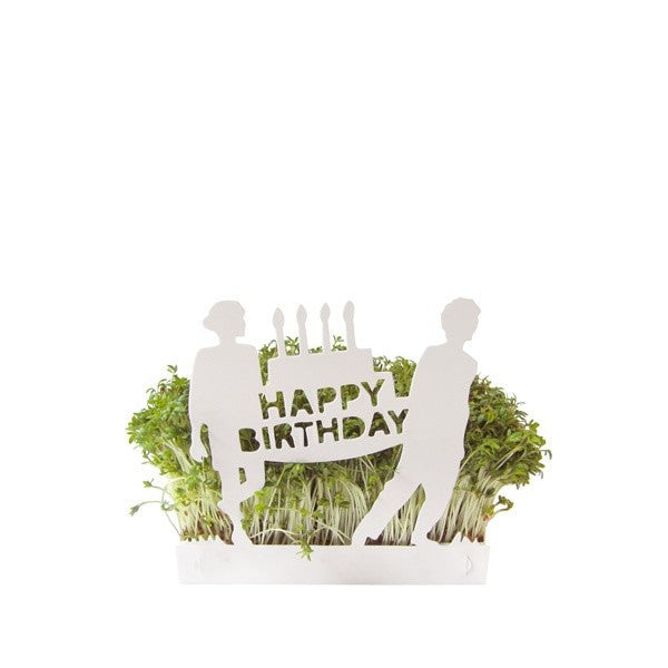 Kressegarten Karte HAPPY BIRTHDAY inkl. Kressesamen