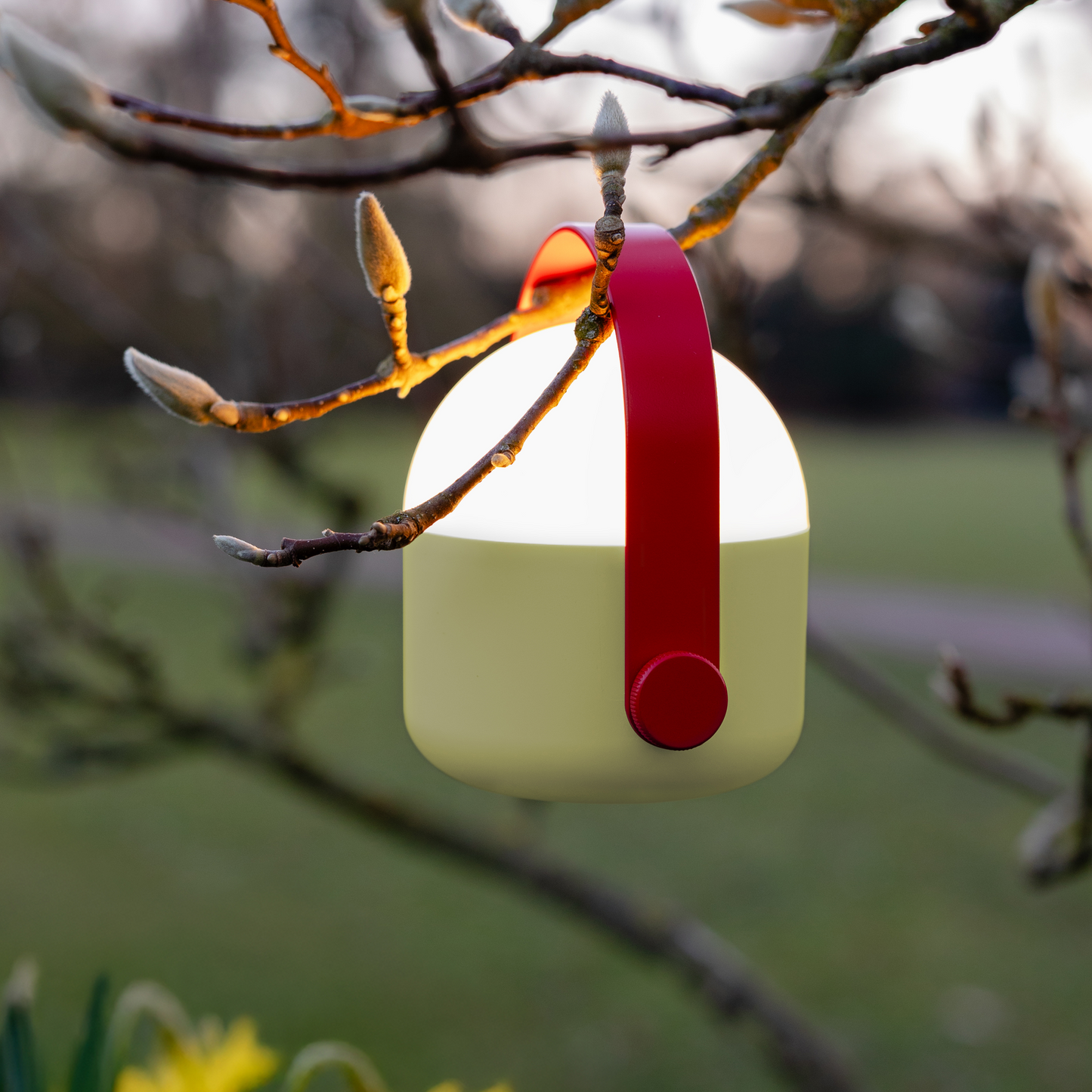 Portable LED Leuchte OLE - Remember