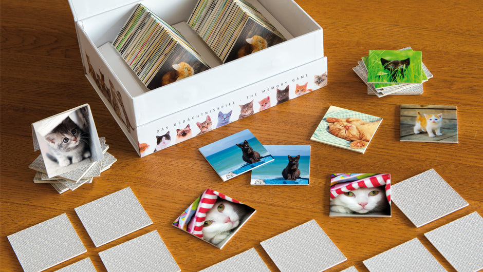 Gedächtnisspiel "Remember 44 Cats" in der Magnetbox - Remember