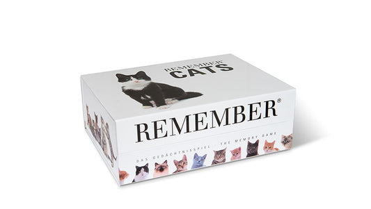 Gedächtnisspiel "Remember 44 Cats" in der Magnetbox - Remember