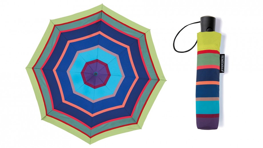 Schirm Reise-Regenschirm Taschenschirm Remember